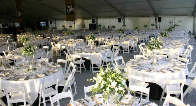 Features: White Padded Folding Chairs