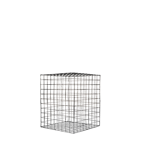 Wire Cube