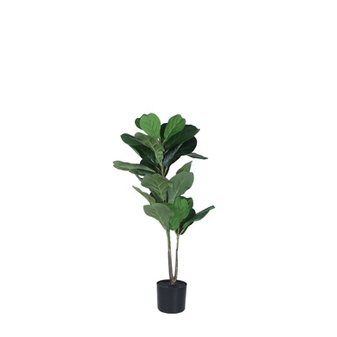 Small Plant
